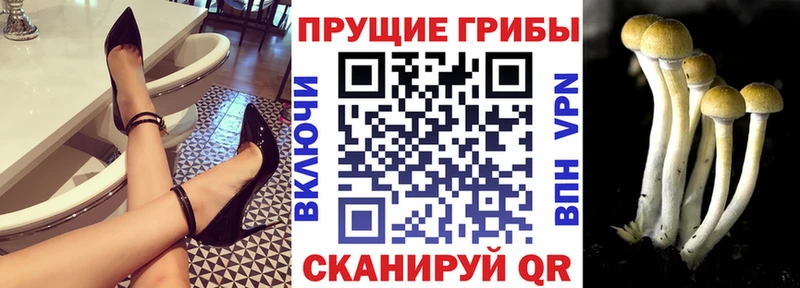 Галлюциногенные грибы прущие грибы  Батайск 